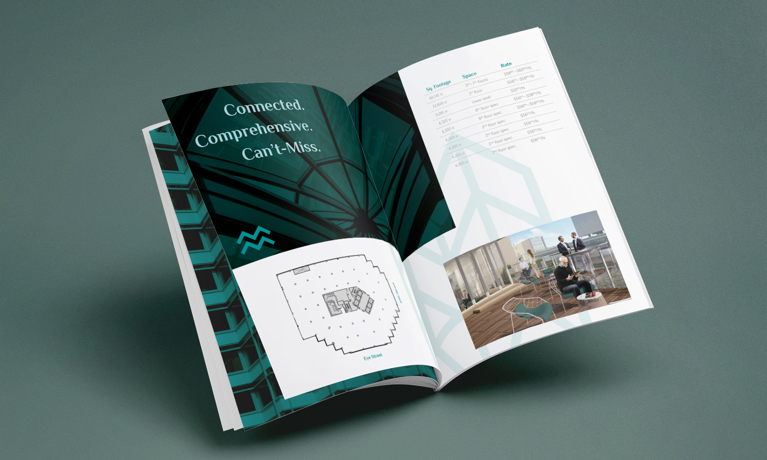 1201 Eye brochure
